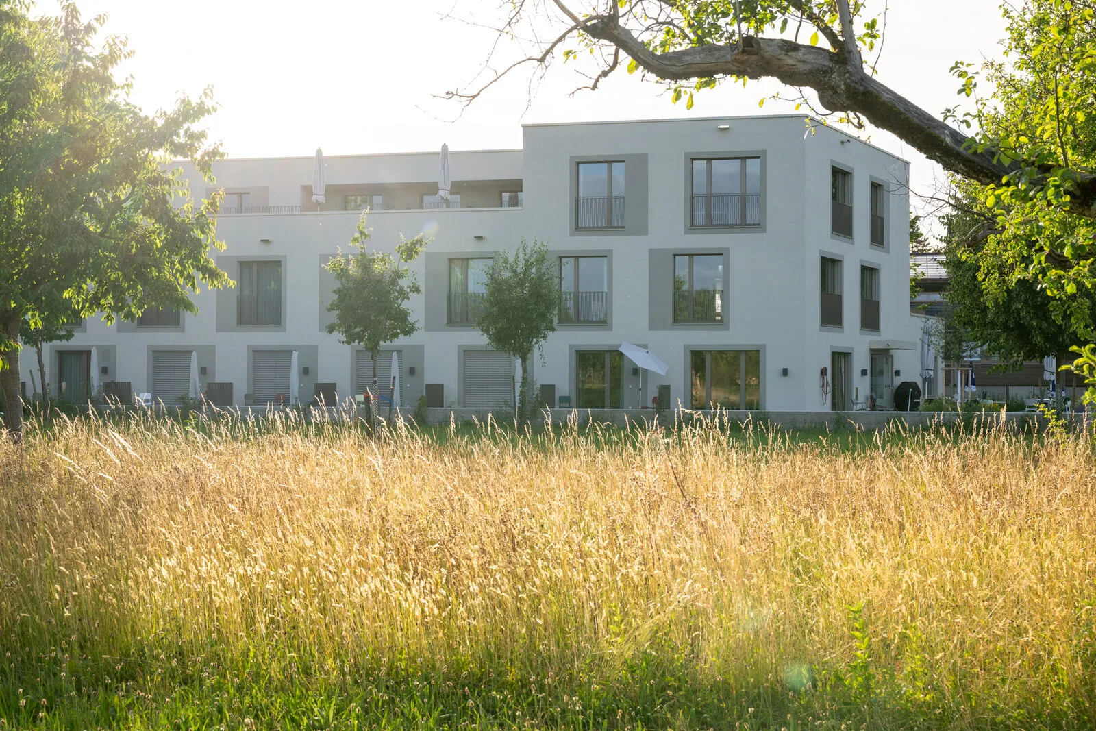 Der helle Neubau des Flamingo Kinderhospizes in Fällanden hinter einer Sommerwiese